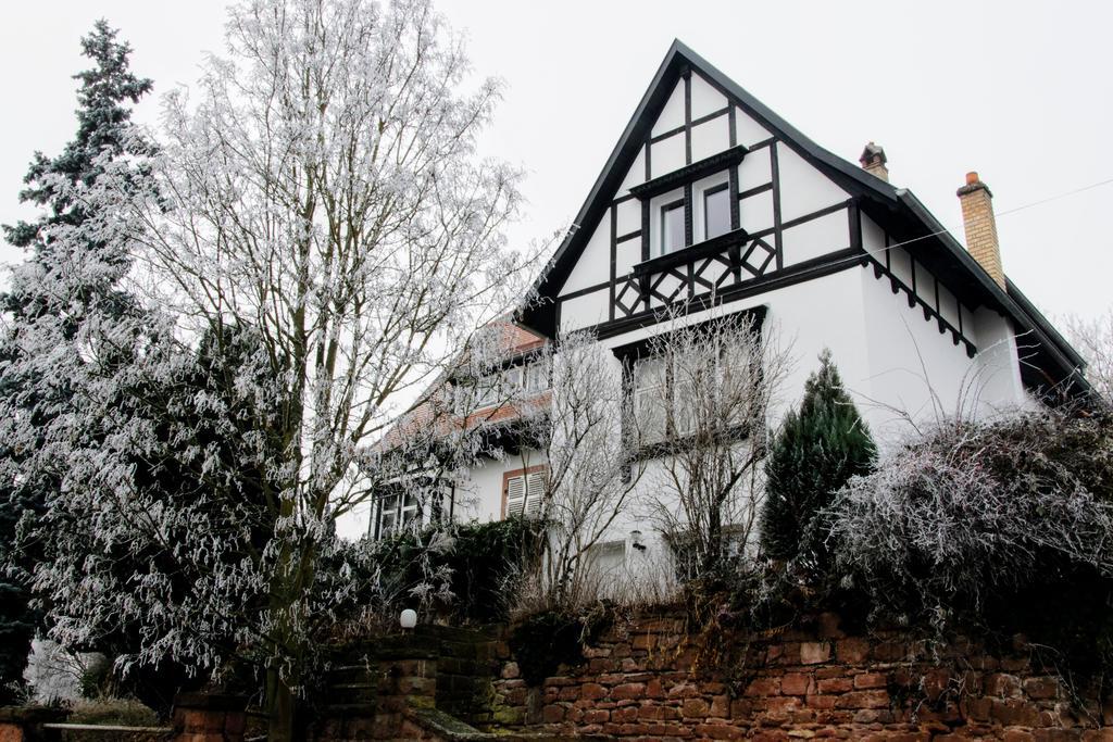 La Villa Du Coteau Obernai Bagian luar foto